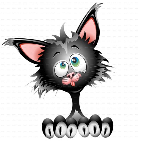 free funny cat pictures|weird funny cat clip art.